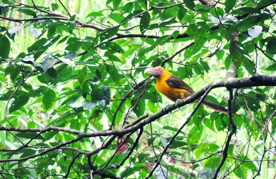 Pousada Bocaina-1
