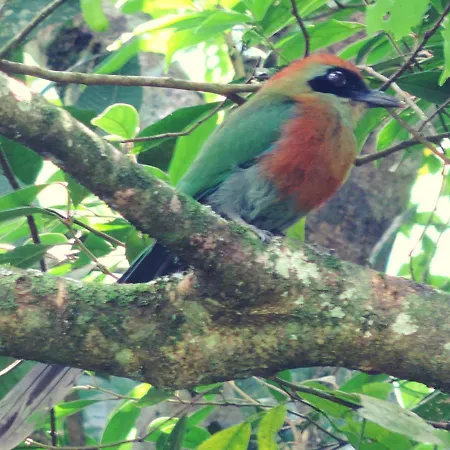 Pousada Bocaina-2